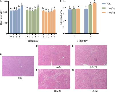 Frontiers | New Insights Into the Persistent Effects of Acute